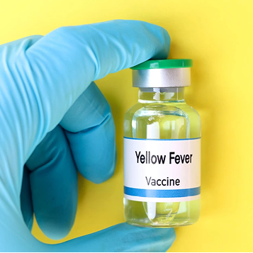 Yellow Fever vaccine